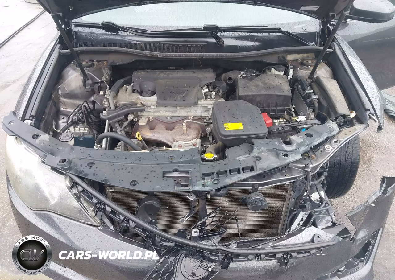 2013 Toyota Camry Se VIN:4T1BF1FK6DU253906 - 10