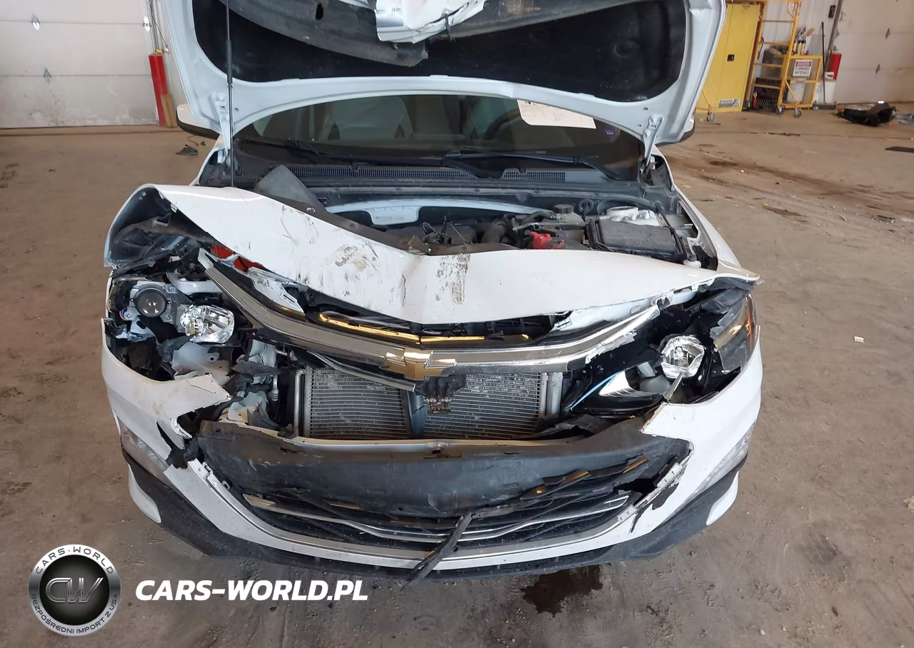 2019 Chevrolet Malibu Lt VIN:1G1ZD5ST3KF187078 - 10