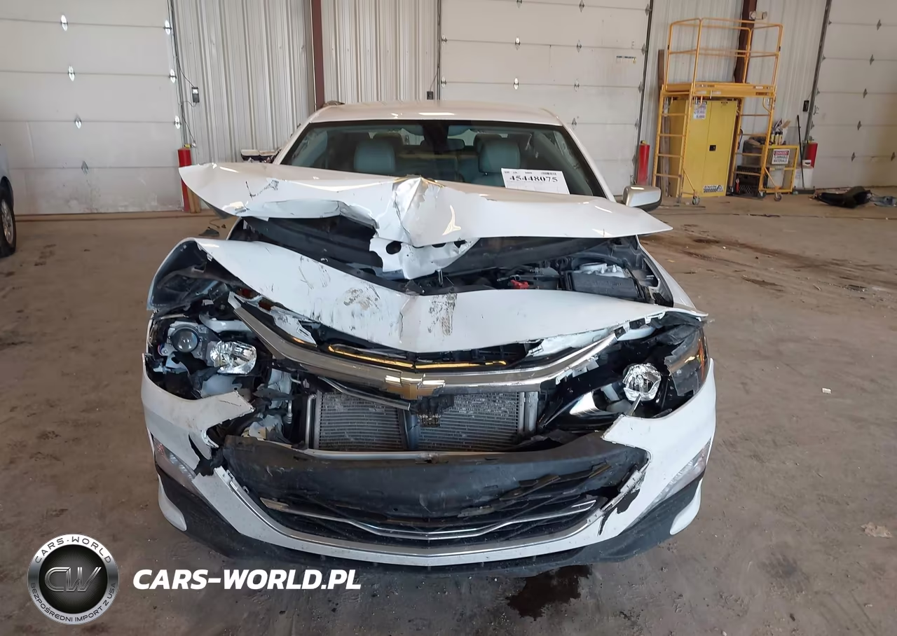 2019 Chevrolet Malibu Lt VIN:1G1ZD5ST3KF187078 - 12
