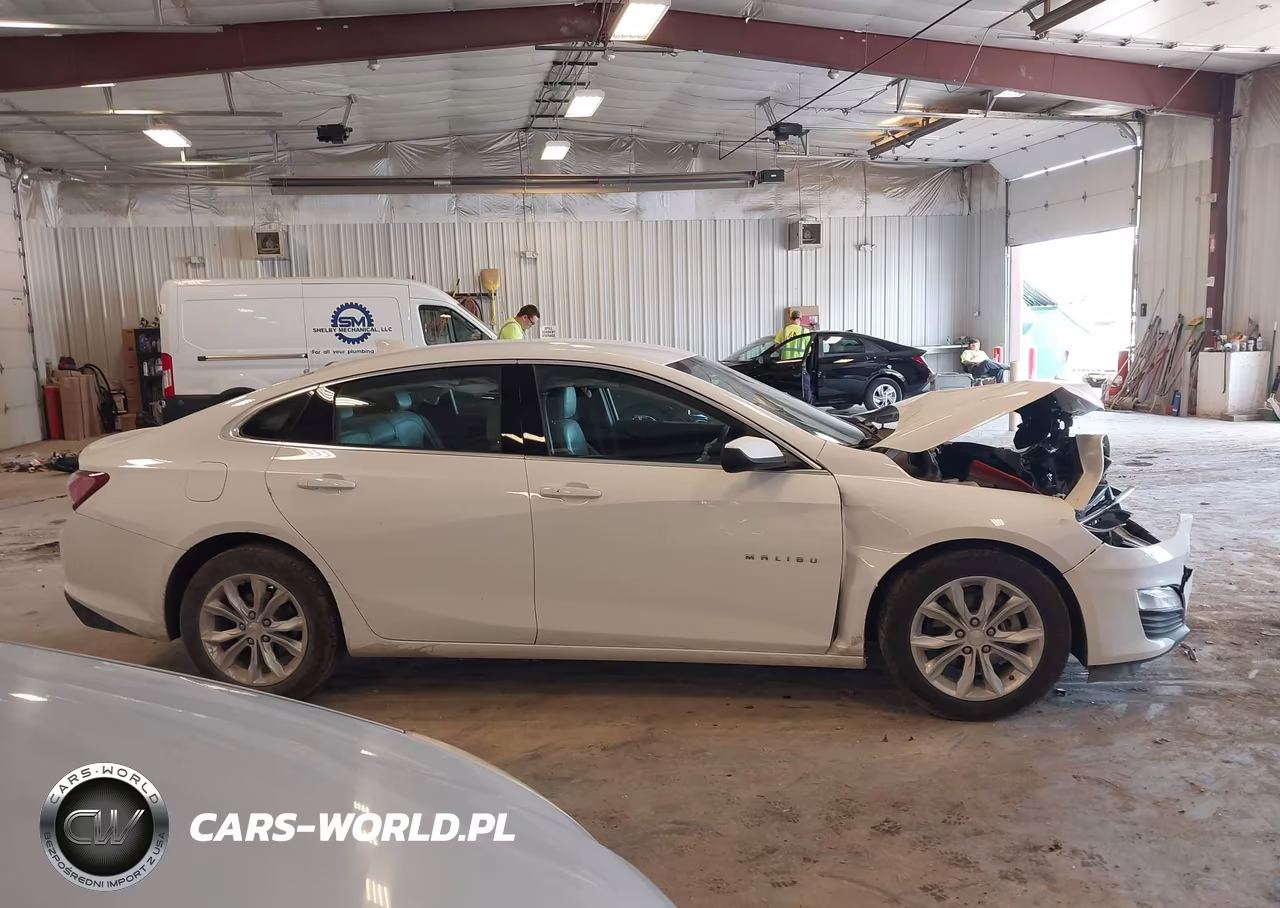 2019 Chevrolet Malibu Lt VIN:1G1ZD5ST3KF187078 - 13