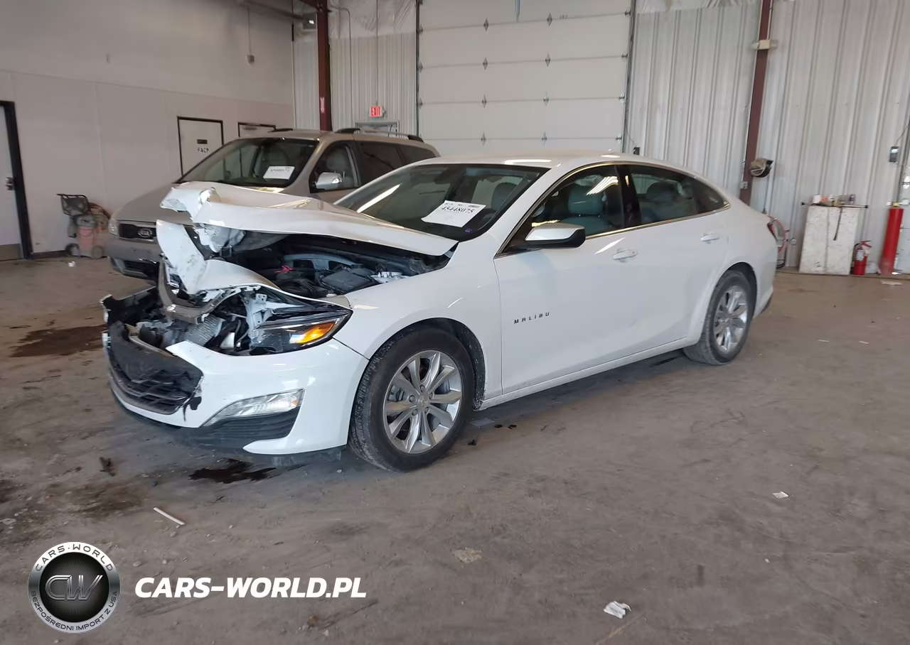 2019 Chevrolet Malibu Lt VIN:1G1ZD5ST3KF187078 - 2
