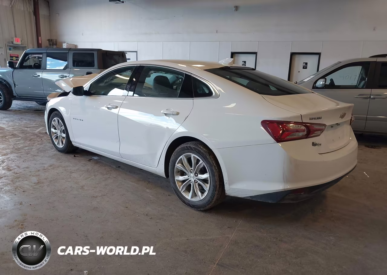 2019 Chevrolet Malibu Lt VIN:1G1ZD5ST3KF187078 - 3