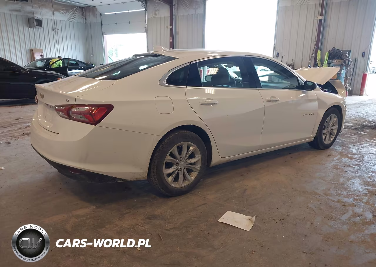 2019 Chevrolet Malibu Lt VIN:1G1ZD5ST3KF187078 - 4