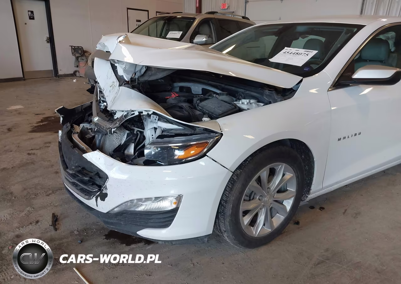 2019 Chevrolet Malibu Lt VIN:1G1ZD5ST3KF187078 - 6