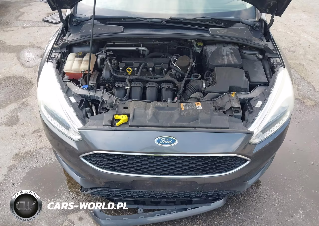 2015 Ford Focus Se VIN:1FADP3K27FL239037 - 10