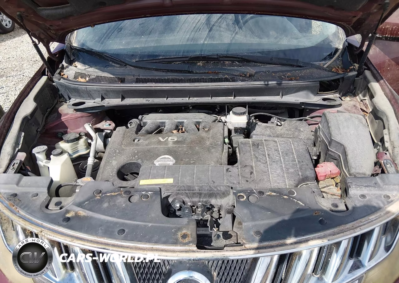 2010 Nissan Murano S VIN:JN8AZ1MW4AW104220 - 10