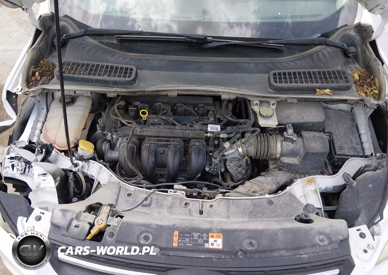 2016 Ford Escape Se VIN:1FMCU0G74GUA73634 - 10