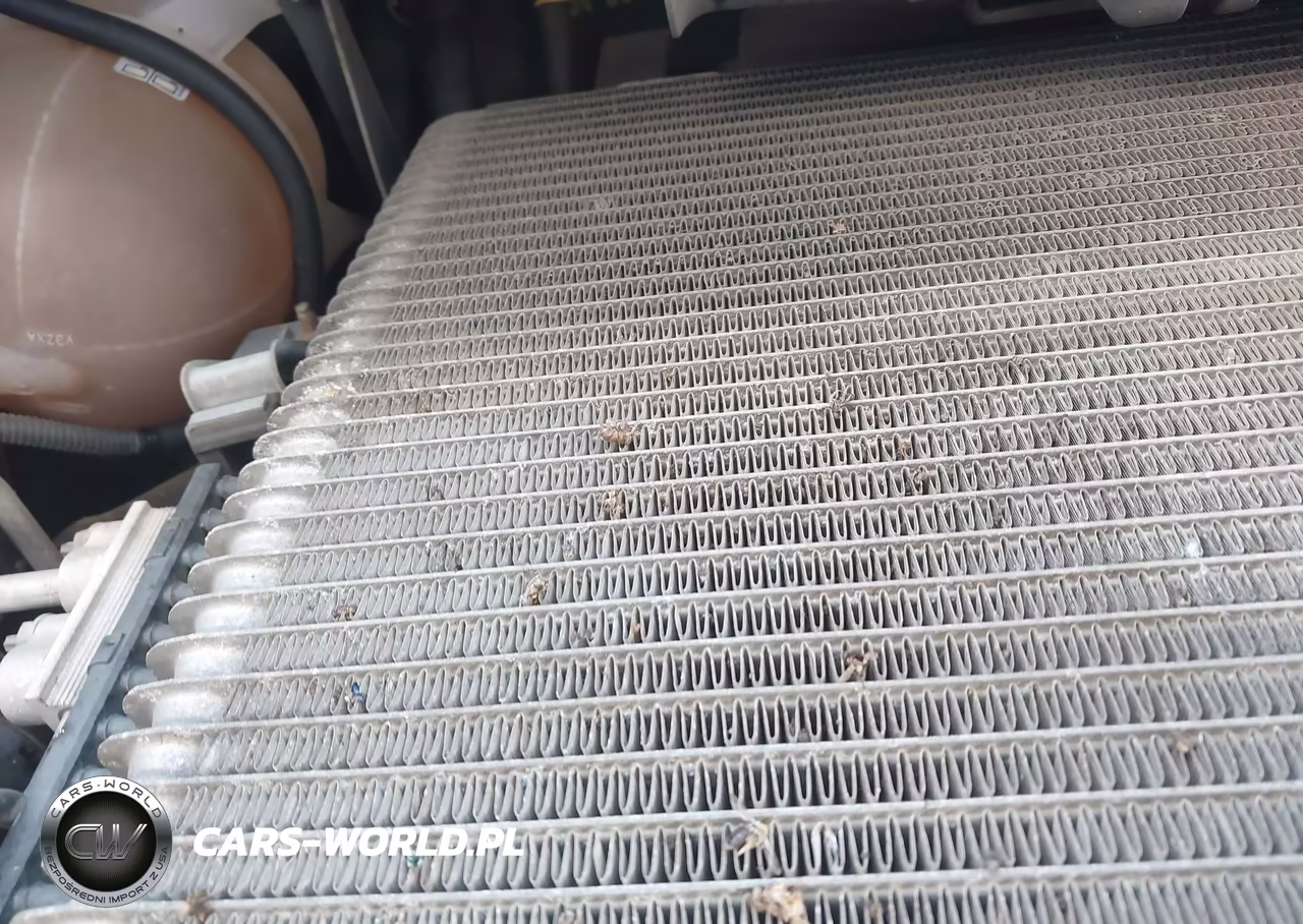 2006 Ford F550 Super Duty Stripped Chass VIN:1F6NF53Y660A13754 - 10
