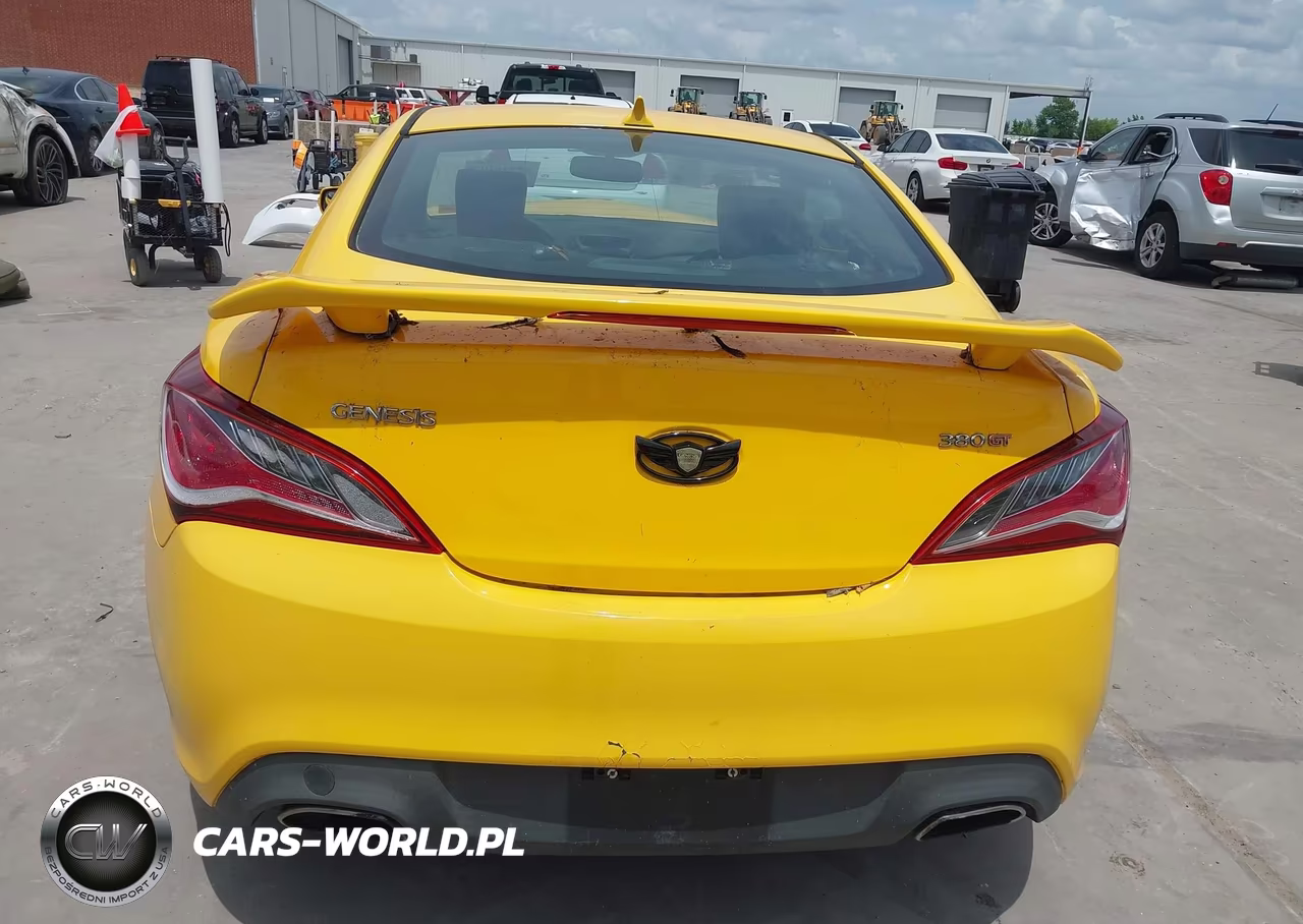 2010 Hyundai Genesis 3.8 Track VIN:KMHHU6KH1AU040249 - 17