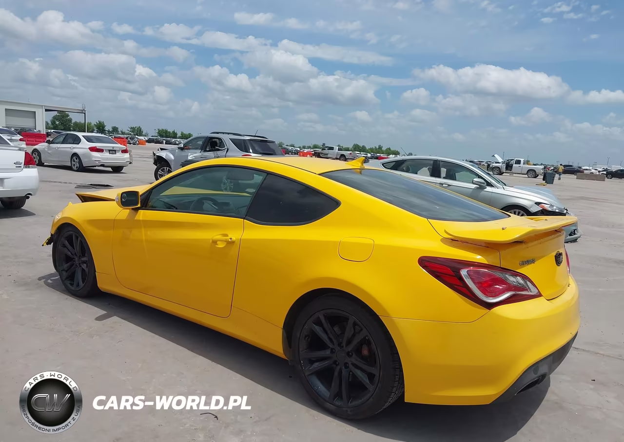 2010 Hyundai Genesis 3.8 Track VIN:KMHHU6KH1AU040249 - 3