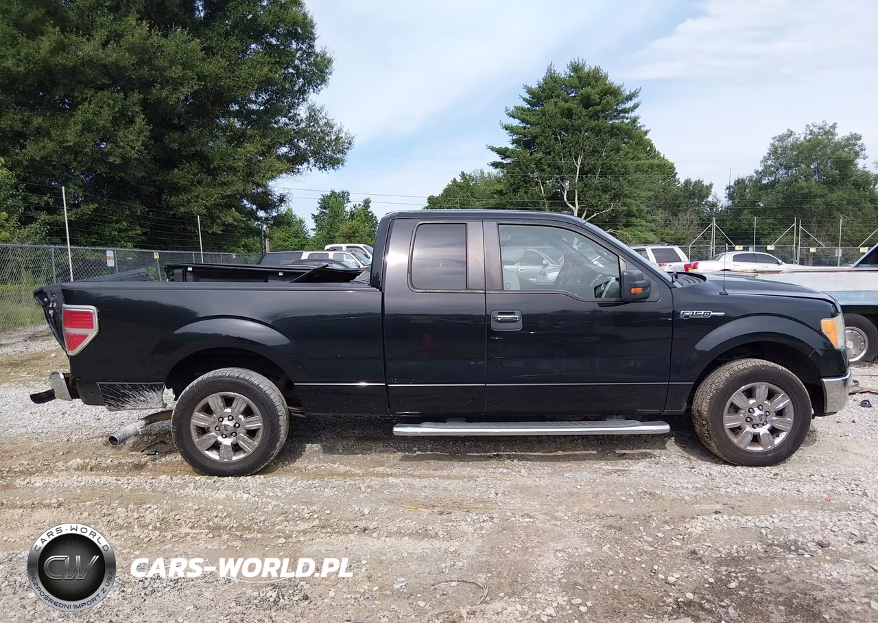 2010 Ford F-150 Fx2 Sport-Stx-Xl-Xlt VIN:1FTEX1C80AFB58278 - 13