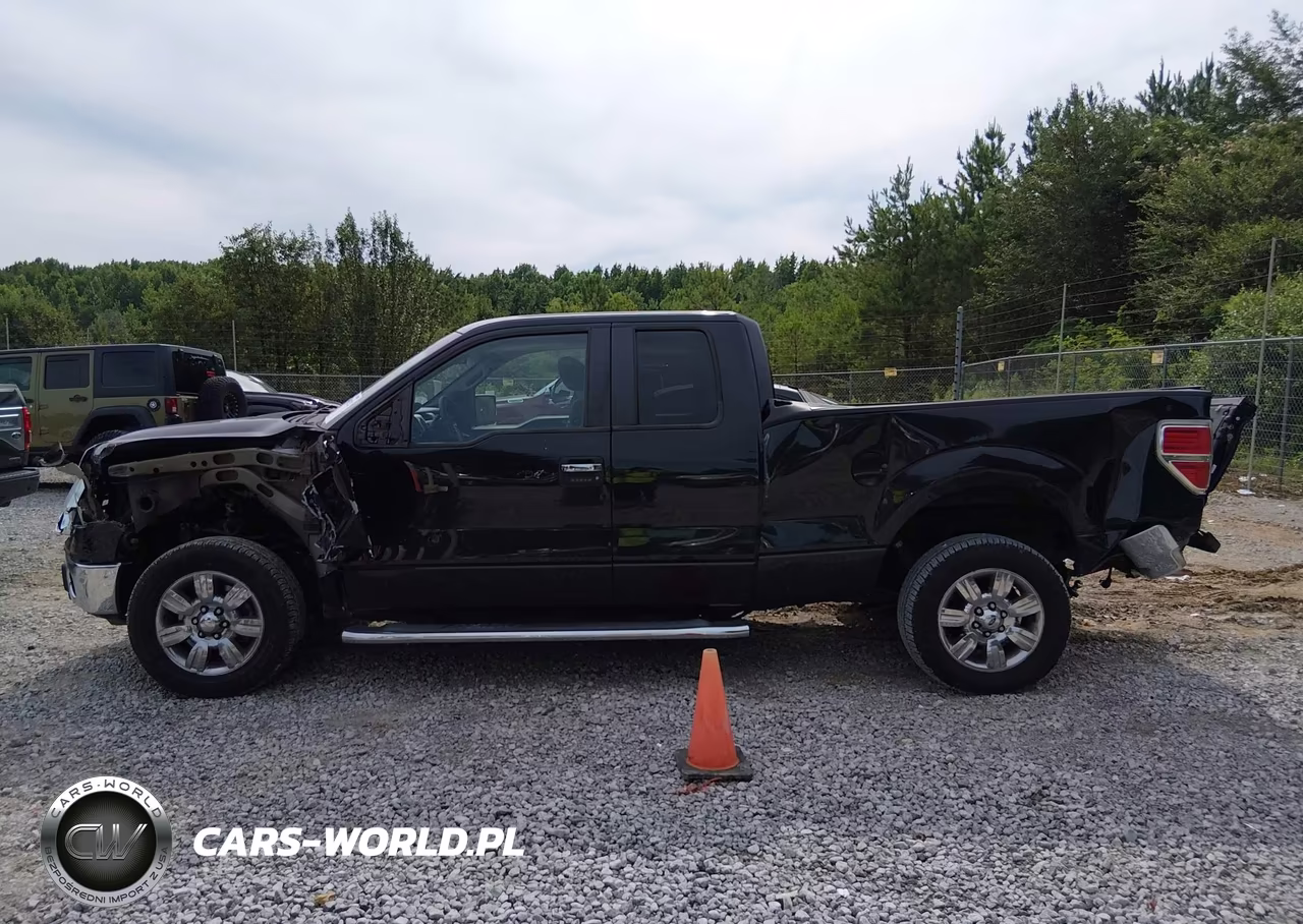 2010 Ford F-150 Fx2 Sport-Stx-Xl-Xlt VIN:1FTEX1C80AFB58278 - 14