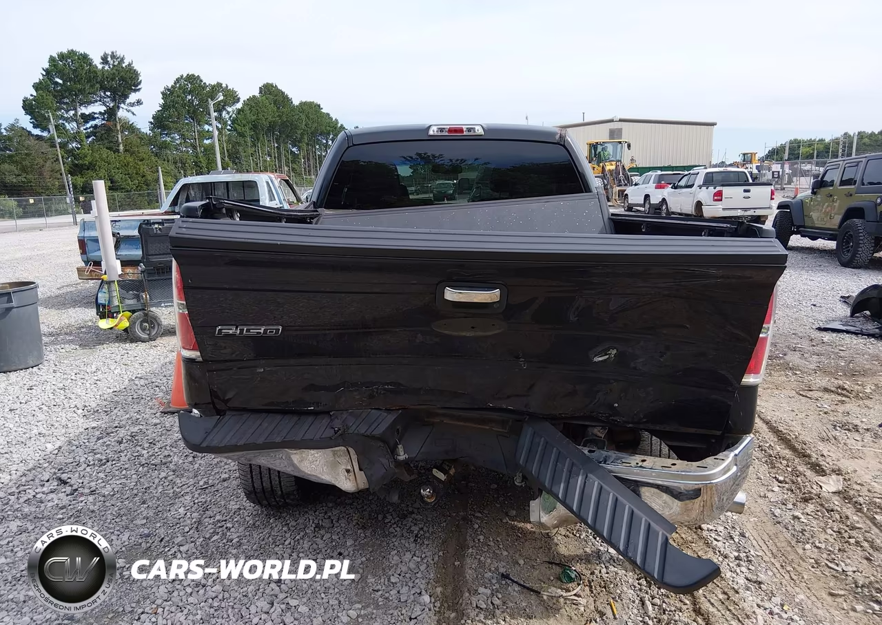 2010 Ford F-150 Fx2 Sport-Stx-Xl-Xlt VIN:1FTEX1C80AFB58278 - 16