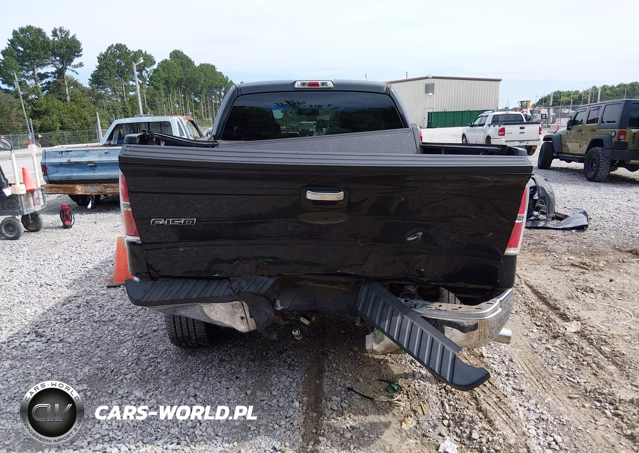 2010 Ford F-150 Fx2 Sport-Stx-Xl-Xlt VIN:1FTEX1C80AFB58278 - 6