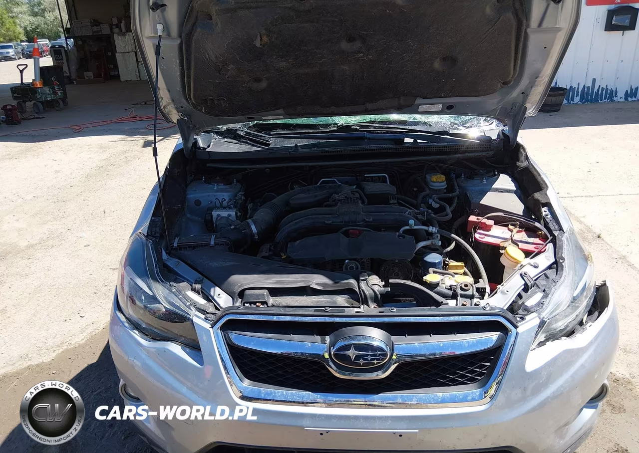 2014 Subaru Xv Crosstrek 2.0I Premium VIN:JF2GPAWC6EH300623 - 10