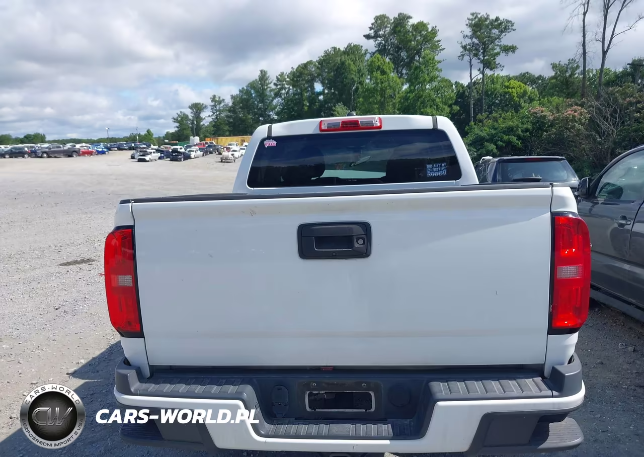 2017 Chevrolet Colorado 2Wd Wt VIN:1GCGSBEN8H1145186 - 16