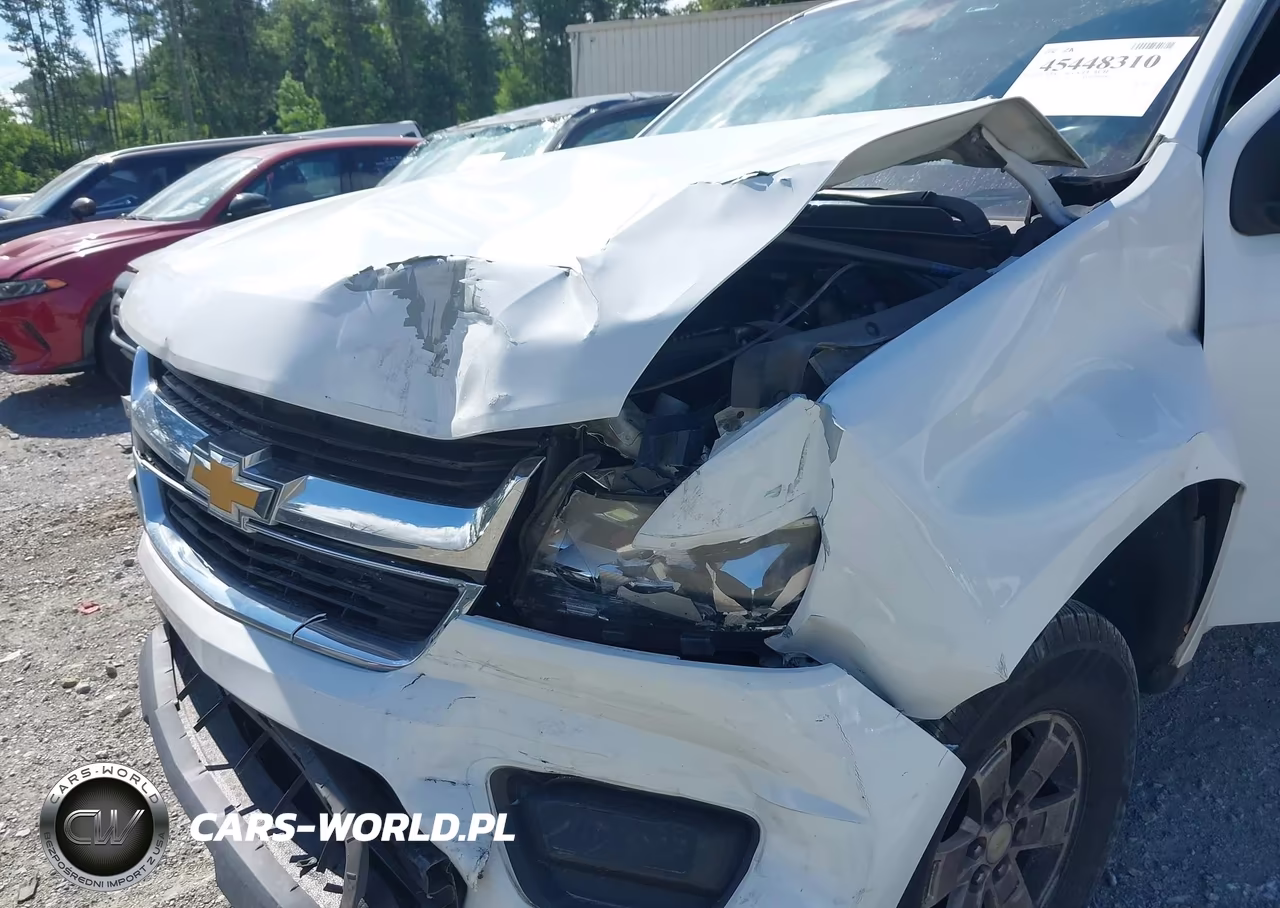 2017 Chevrolet Colorado 2Wd Wt VIN:1GCGSBEN8H1145186 - 17