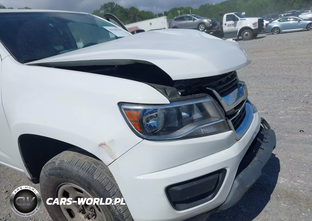 2017 Chevrolet Colorado 2Wd Wt VIN:1GCGSBEN8H1145186 - 18