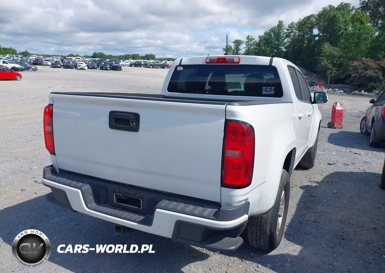 2017 Chevrolet Colorado 2Wd Wt VIN:1GCGSBEN8H1145186 - 4