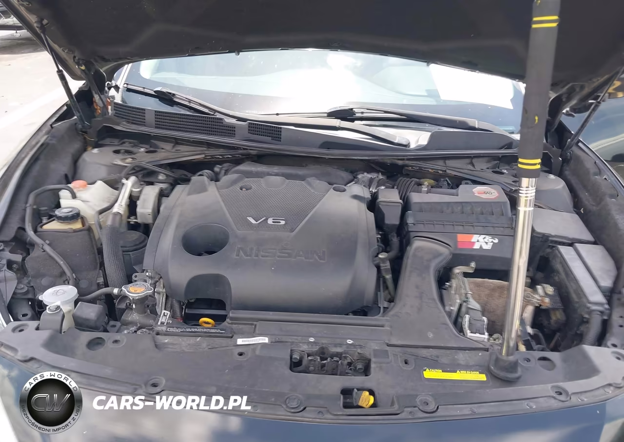 NISSAN MAXIMA 3.5 VIN:1N4AA6AP8GC410849 - 10