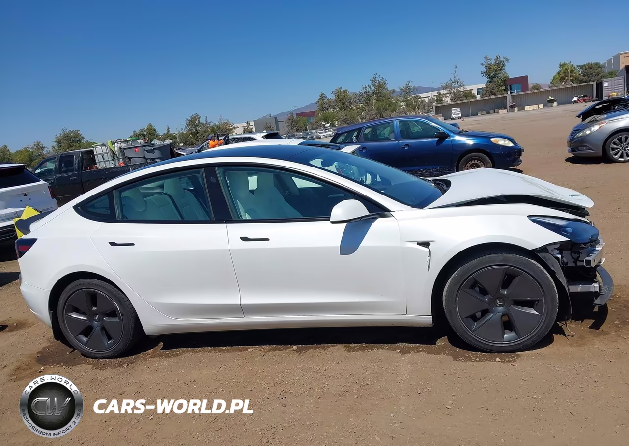 2023 Tesla Model 3 Rear-Wheel Drive VIN:5YJ3E1EA0PF587009 - 14