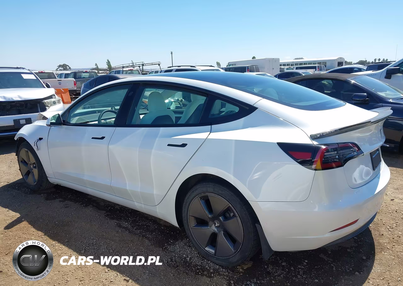 2023 Tesla Model 3 Rear-Wheel Drive VIN:5YJ3E1EA0PF587009 - 15