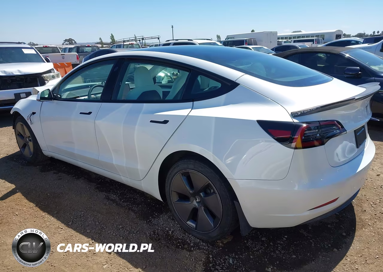 2023 Tesla Model 3 Rear-Wheel Drive VIN:5YJ3E1EA0PF587009 - 3