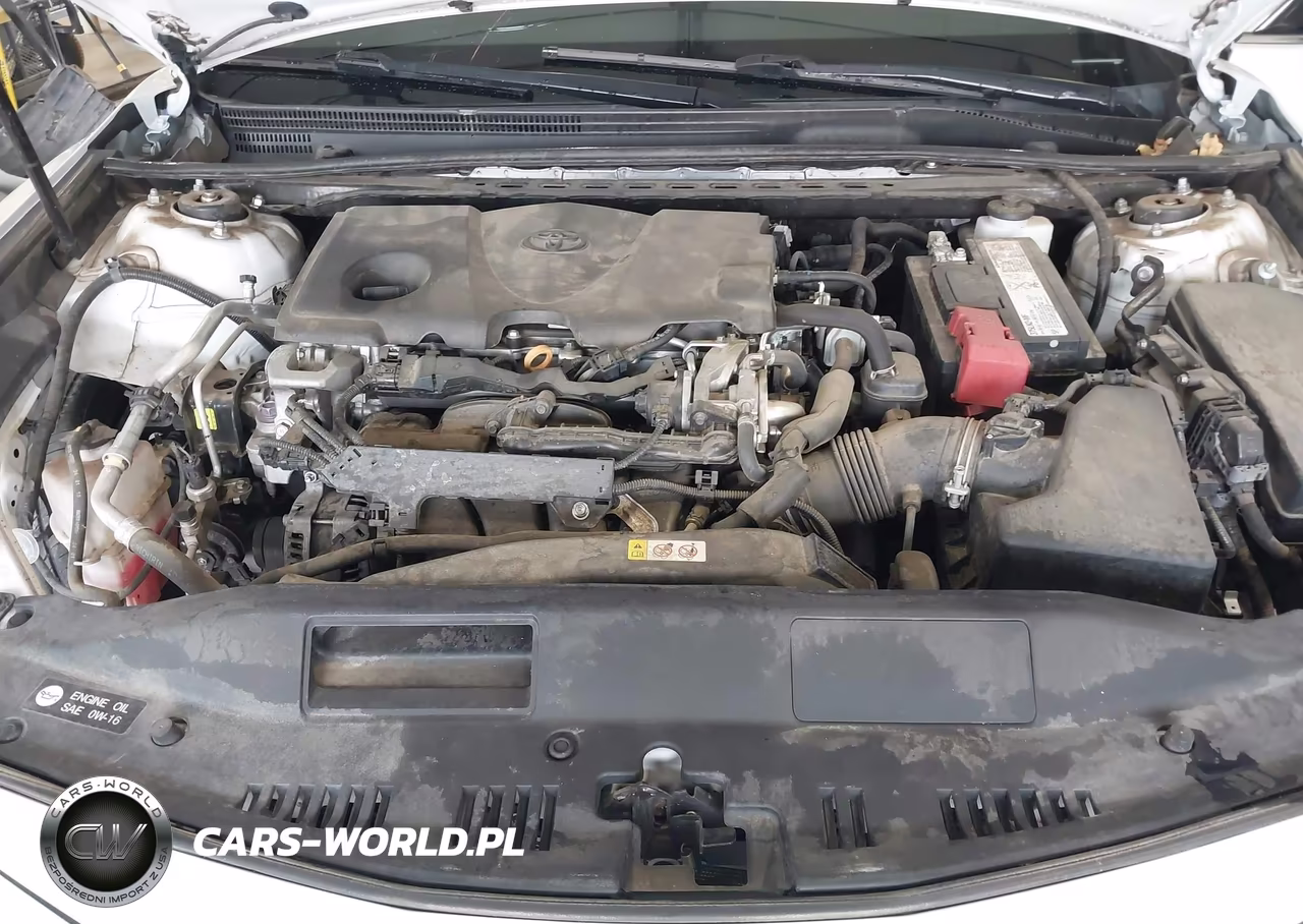 2019 Toyota Camry Xse VIN:4T1B61HK8KU838190 - 10