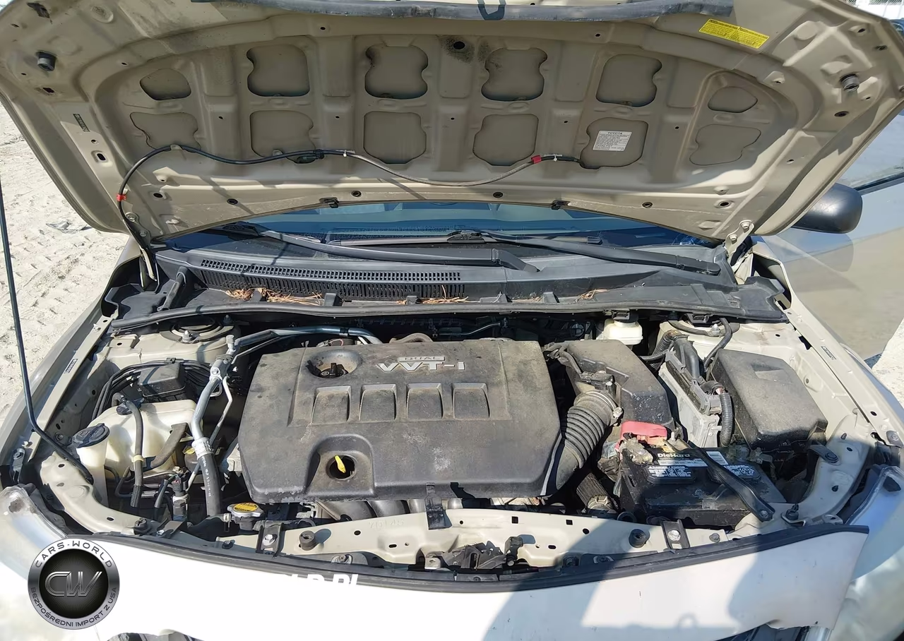2009 Toyota Corolla VIN:2T1BU40E49C162166 - 10
