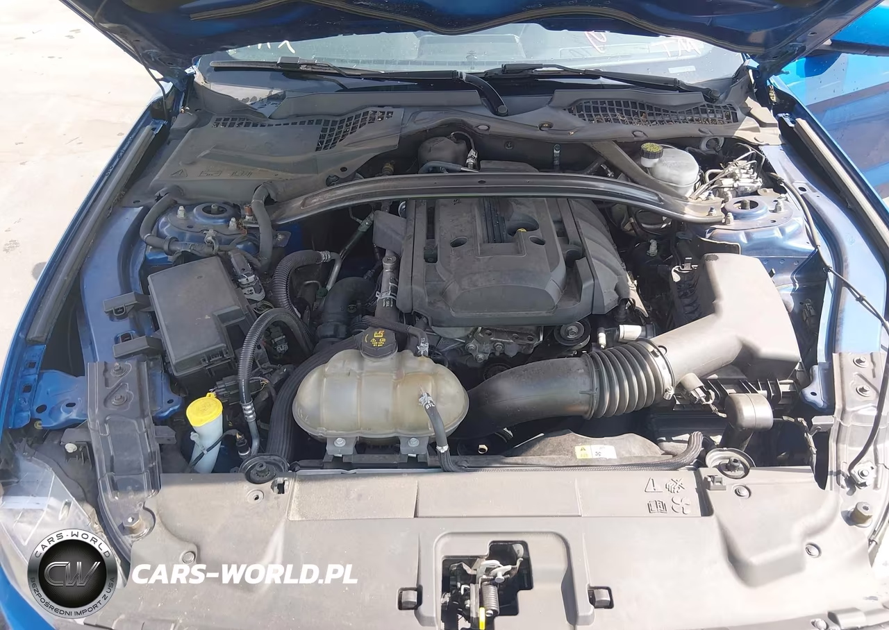 2018 Ford Mustang Ecoboost VIN:1FA6P8TH3J5113182 - 10