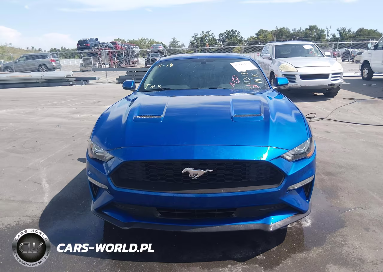 2018 Ford Mustang Ecoboost VIN:1FA6P8TH3J5113182 - 12