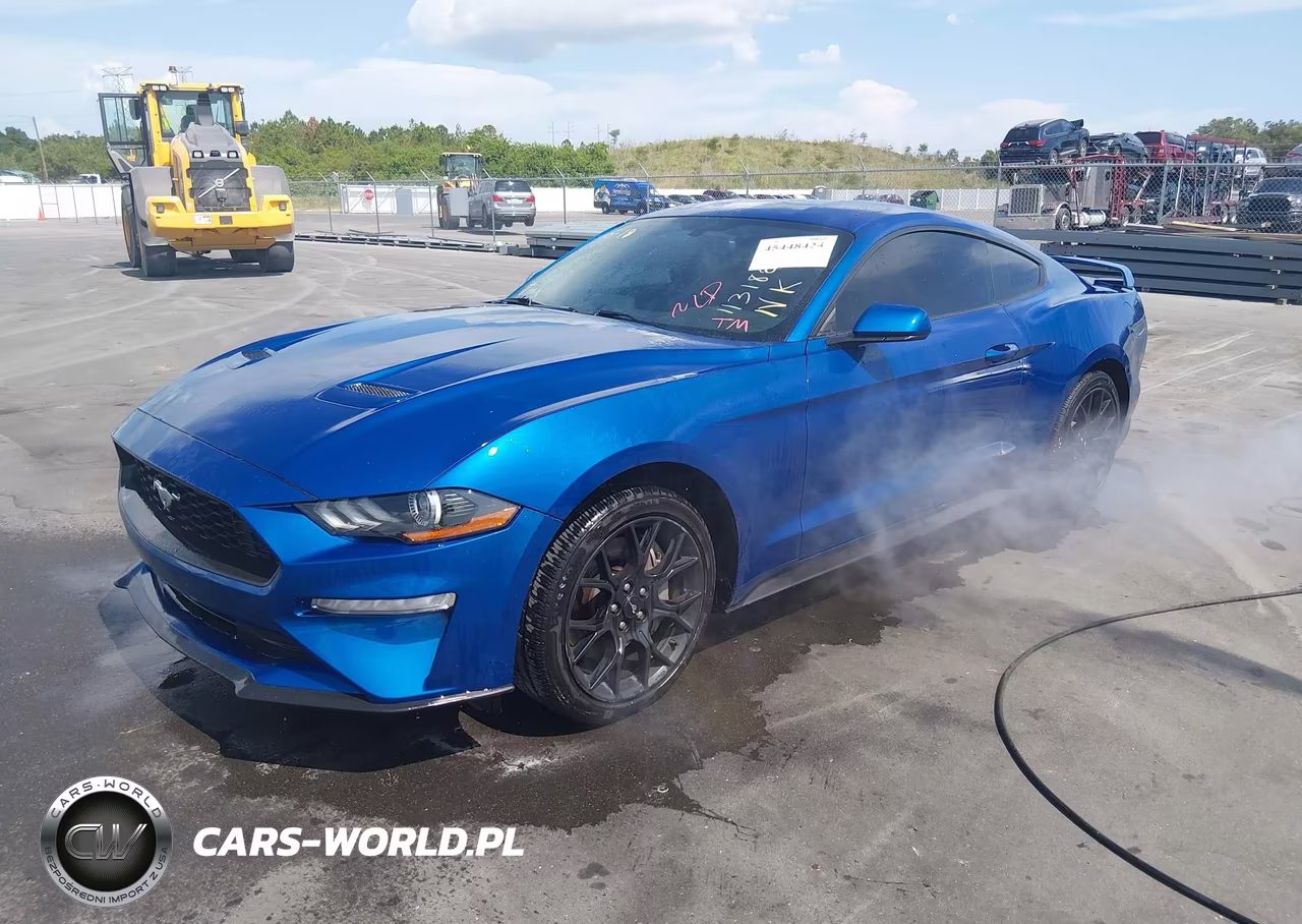 2018 Ford Mustang Ecoboost VIN:1FA6P8TH3J5113182 - 2
