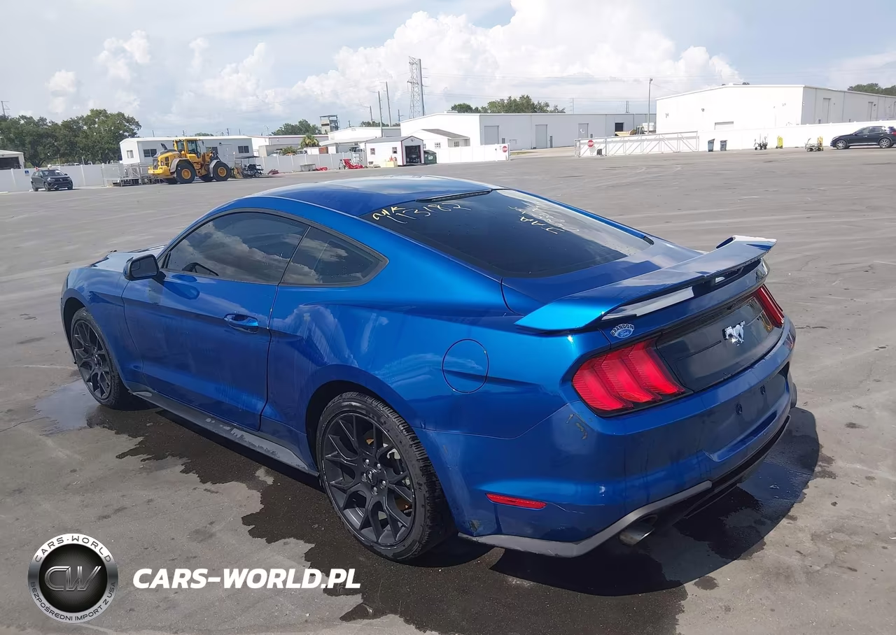2018 Ford Mustang Ecoboost VIN:1FA6P8TH3J5113182 - 3