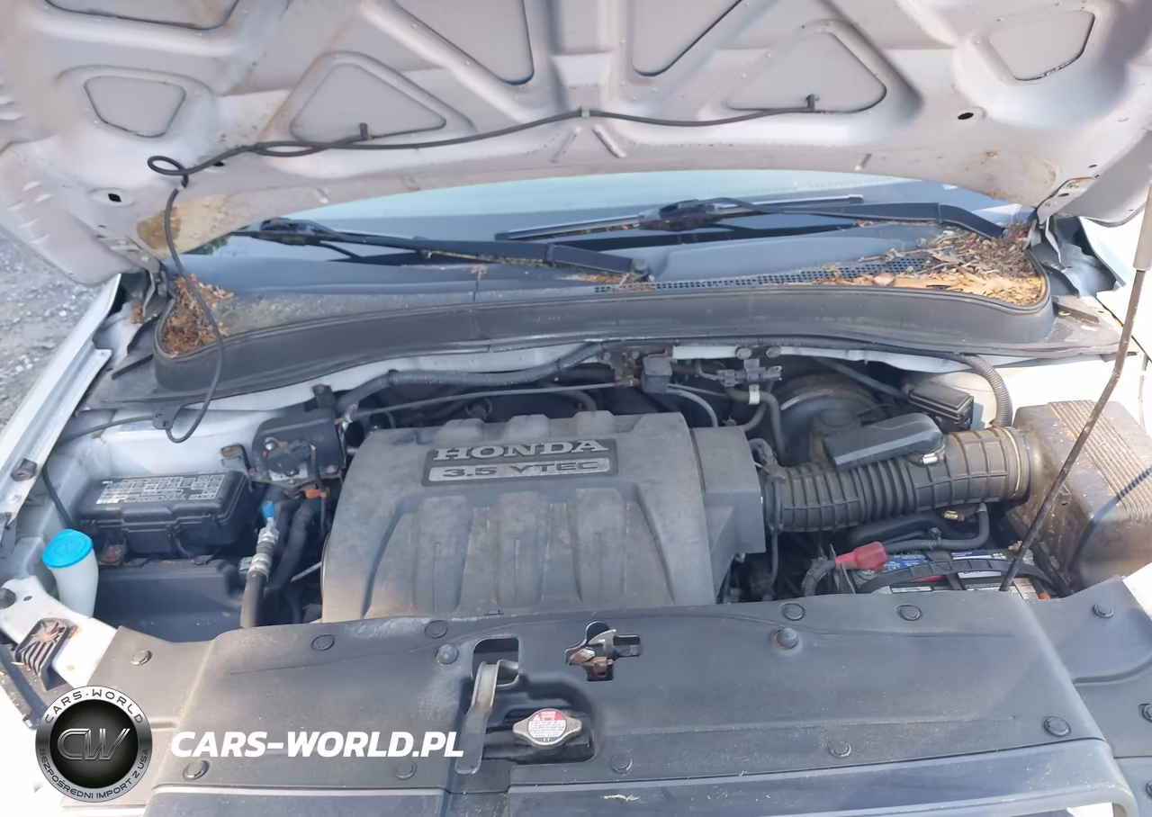 2006 Honda Pilot Lx VIN:2HKYF18156H519769 - 10
