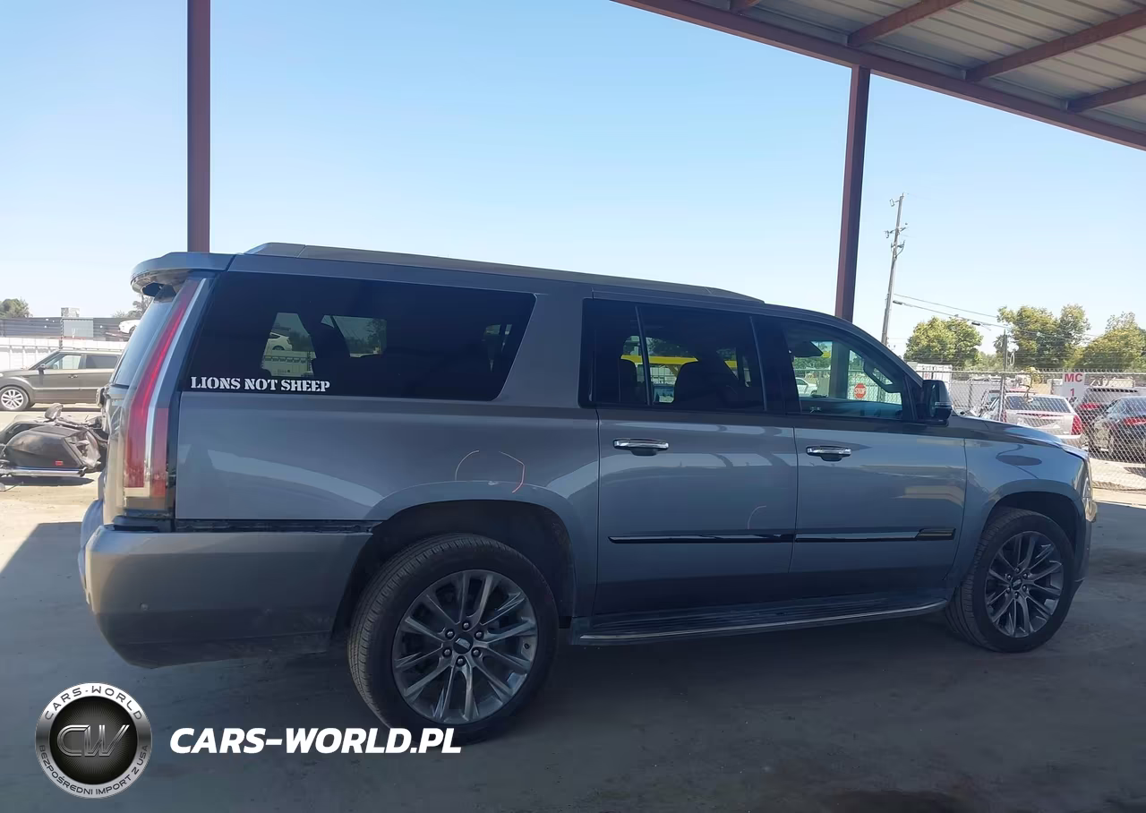 2020 Cadillac Escalade Esv 2Wd Luxury VIN:1GYS3HKJ1LR295821 - 13