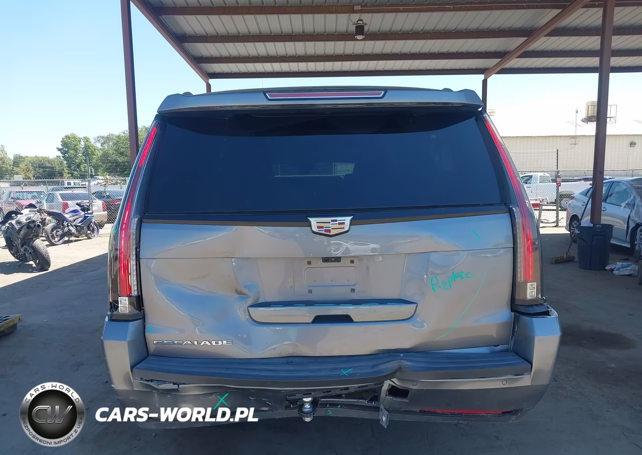 2020 Cadillac Escalade Esv 2Wd Luxury VIN:1GYS3HKJ1LR295821 - 16