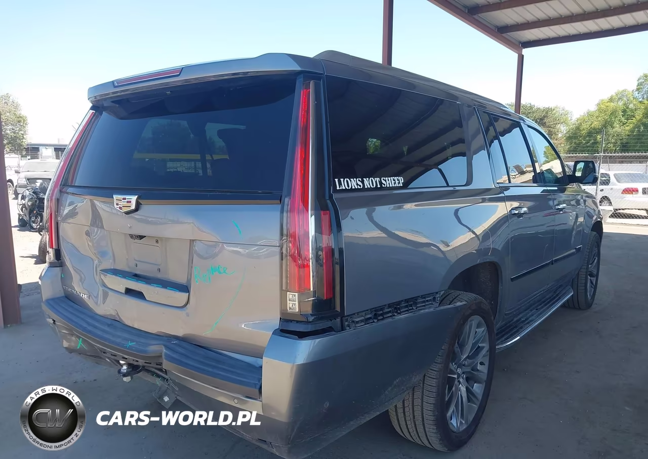 2020 Cadillac Escalade Esv 2Wd Luxury VIN:1GYS3HKJ1LR295821 - 4