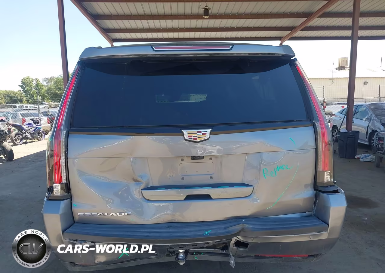 2020 Cadillac Escalade Esv 2Wd Luxury VIN:1GYS3HKJ1LR295821 - 6