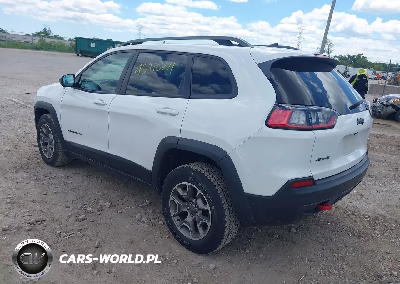 2019 Jeep Cherokee Trailhawk 4X4 VIN:1C4PJMBX9KD183083 - 3
