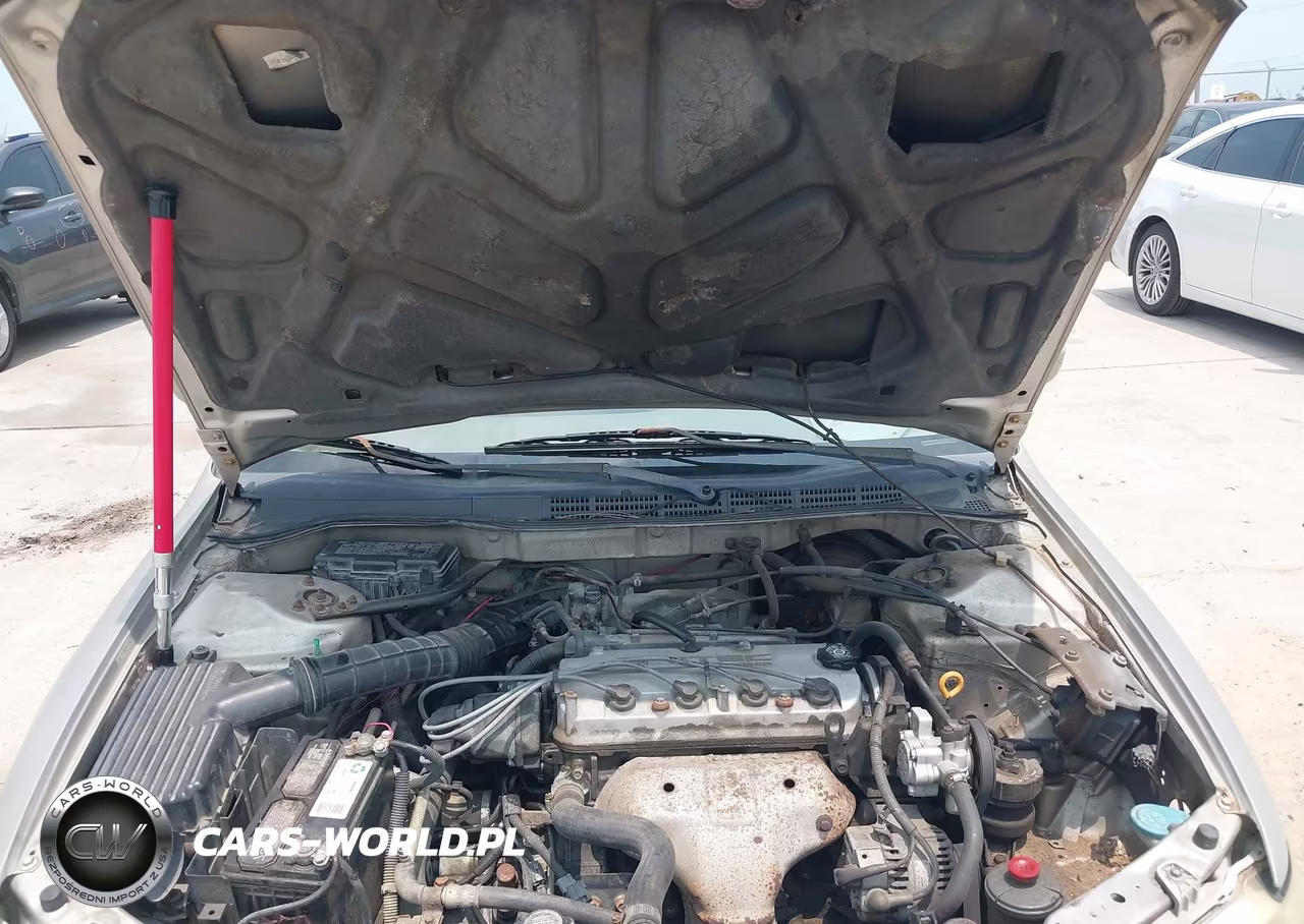 1999 Honda Accord Lx VIN:1HGCG5648XA049002 - 10