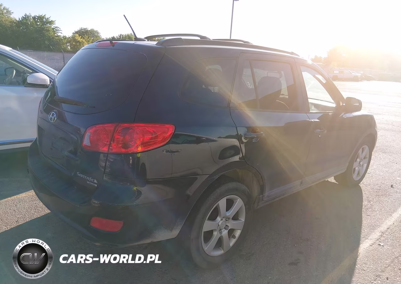 2009 Hyundai Santa Fe Se VIN:5NMSH73E69H318171 - 4