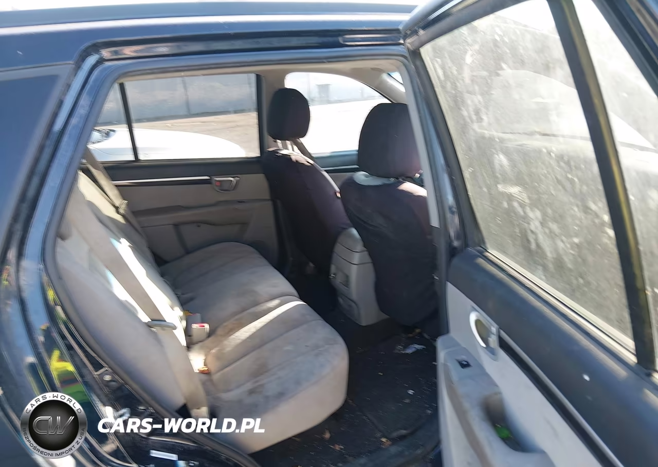 2009 Hyundai Santa Fe Se VIN:5NMSH73E69H318171 - 8