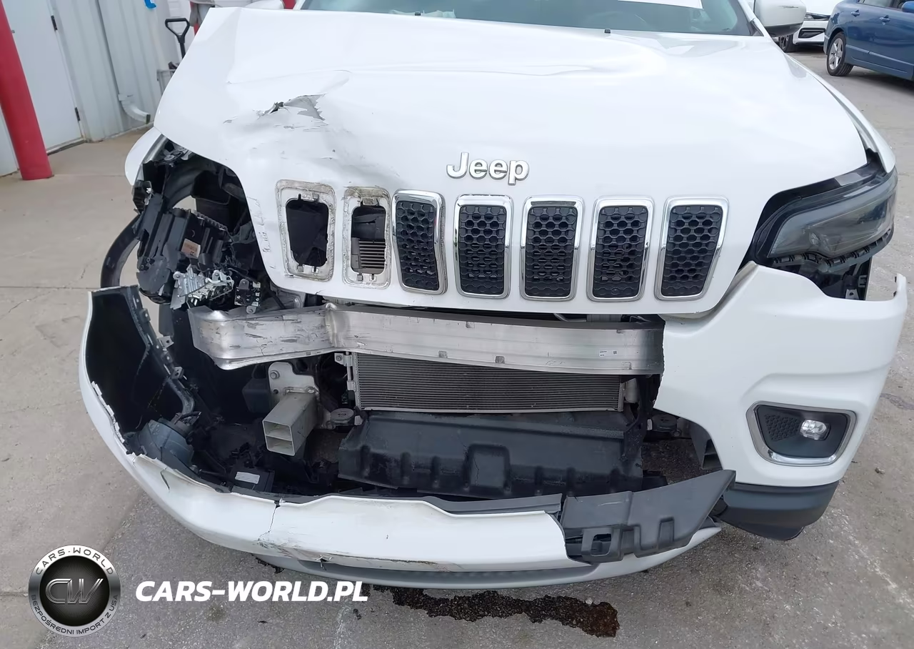 2019 Jeep Cherokee Limited 4X4 VIN:1C4PJMDX3KD394406 - 6