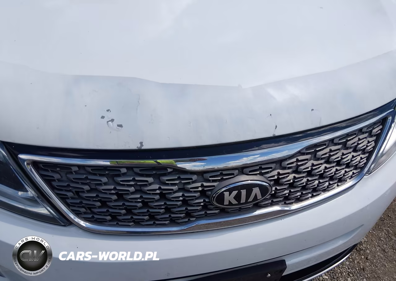 2014 Kia Sorento Limited V6 VIN:5XYKWDA77EG466486 - 6