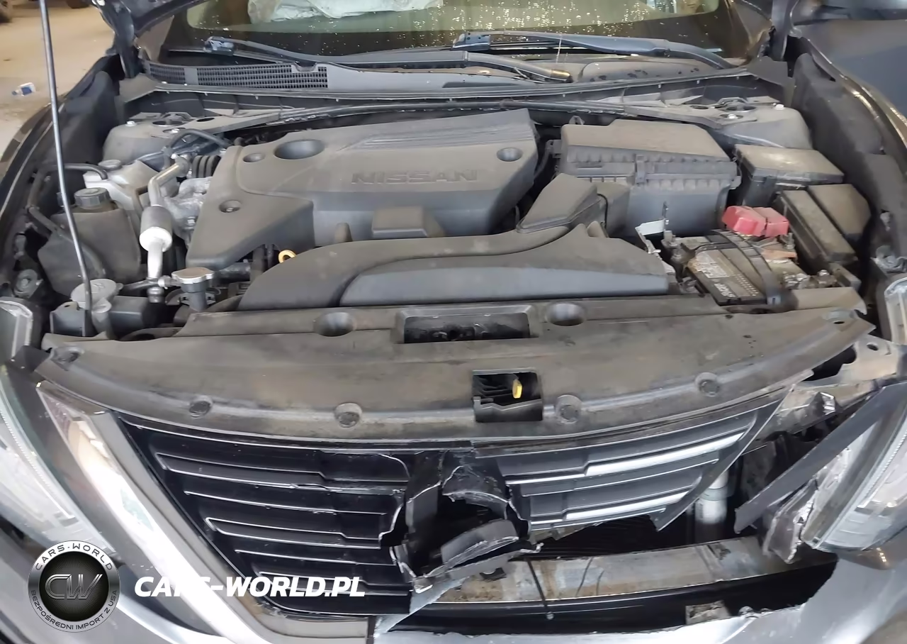 2018 Nissan Altima 2.5 Sl VIN:1N4AL3AP5JC107737 - 10