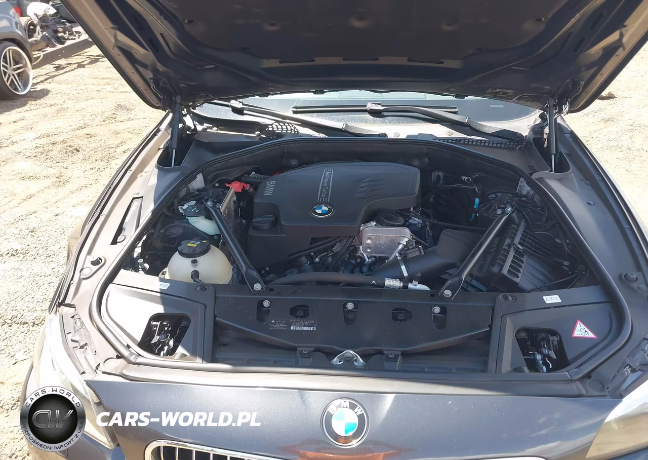 2015 BMW 528I VIN:WBA5A5C50FD517207 - 10