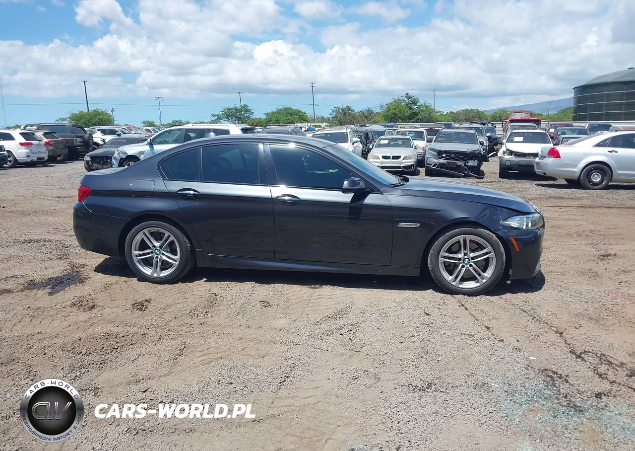 2015 BMW 528I VIN:WBA5A5C50FD517207 - 13