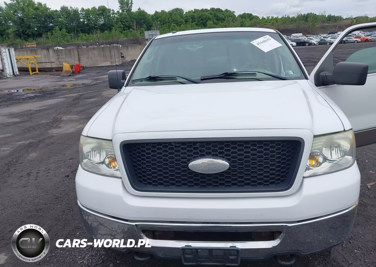 2006 Ford F-150 Fx4-Lariat-Xl-Xlt VIN:1FTPX14566NB19902 - 6