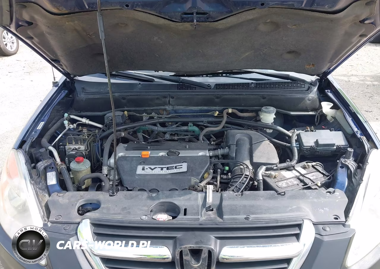 2004 Honda Cr-V Ex VIN:JHLRD78884C029915 - 10