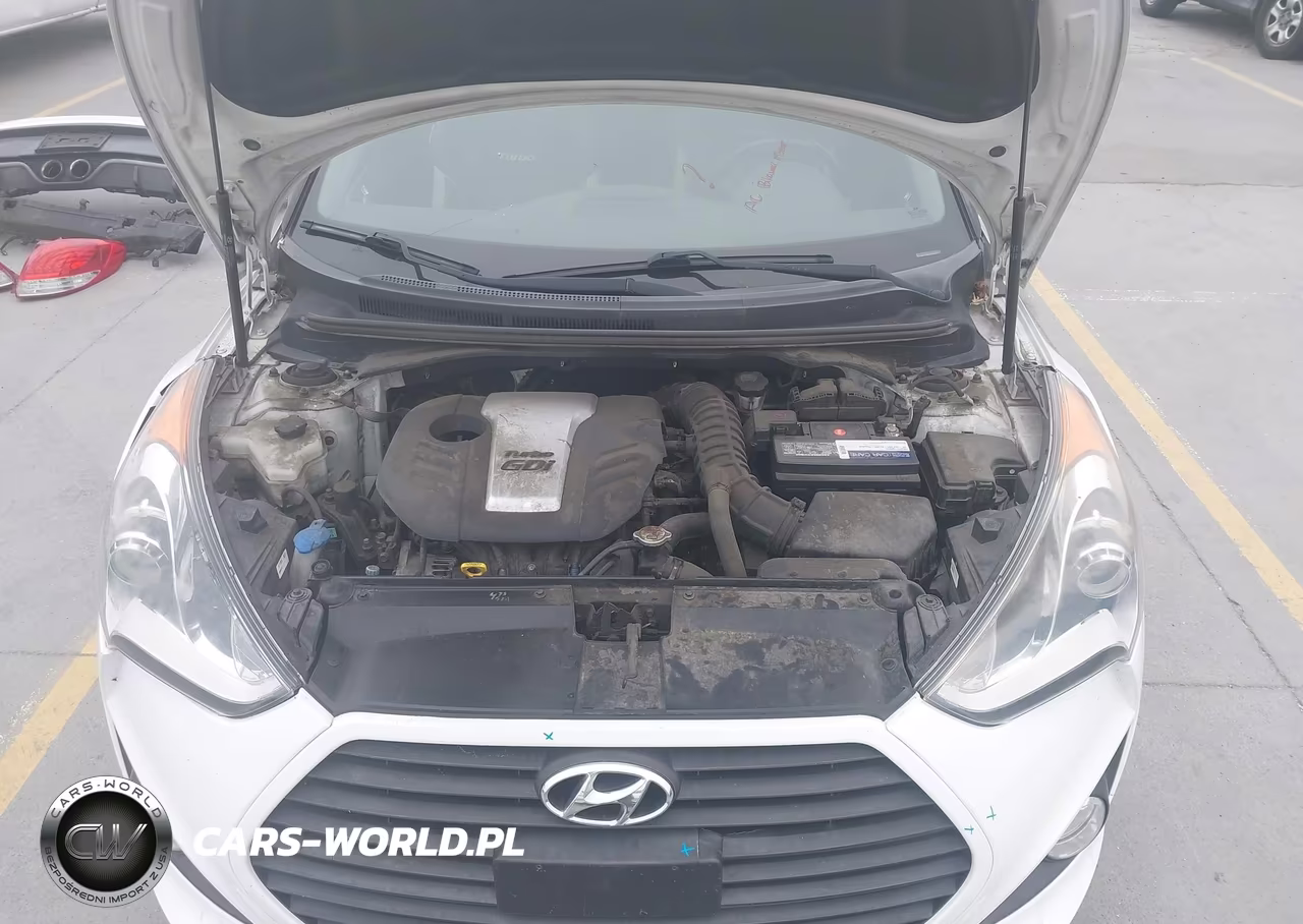 2014 Hyundai Veloster Turbo W-Black VIN:KMHTC6AE9EU183198 - 10